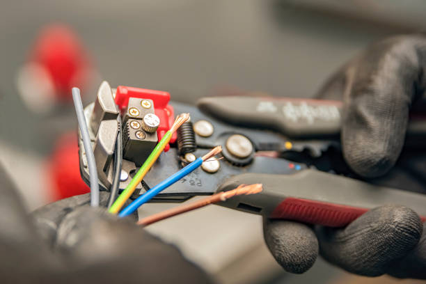 Best Affordable Electrician  in Pisgah, AL