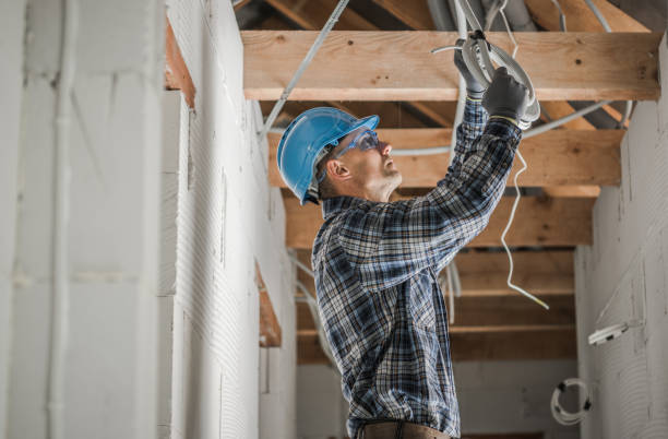 Best Electrical System Inspection  in Pisgah, AL
