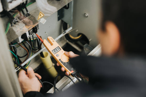 Best Ceiling Fan Installation Electrician  in Pisgah, AL